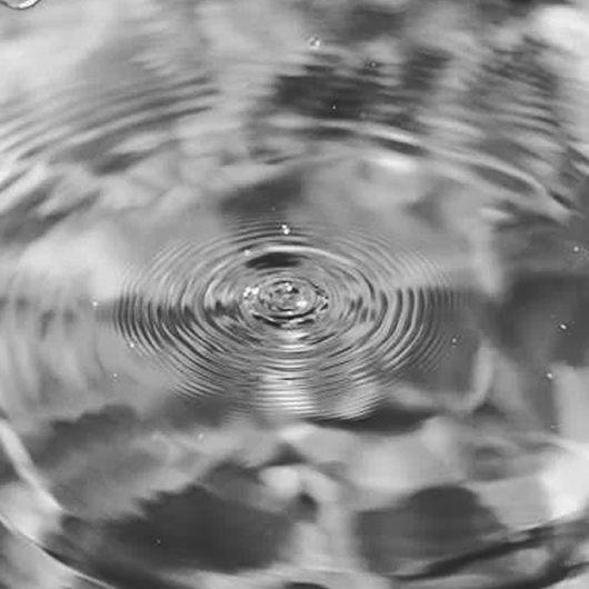 black and white photo of water droplets
