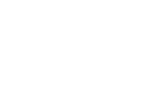 Optimas logo white