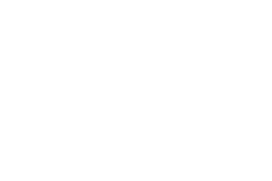 Viora logo white