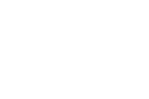 dermaplane logo white